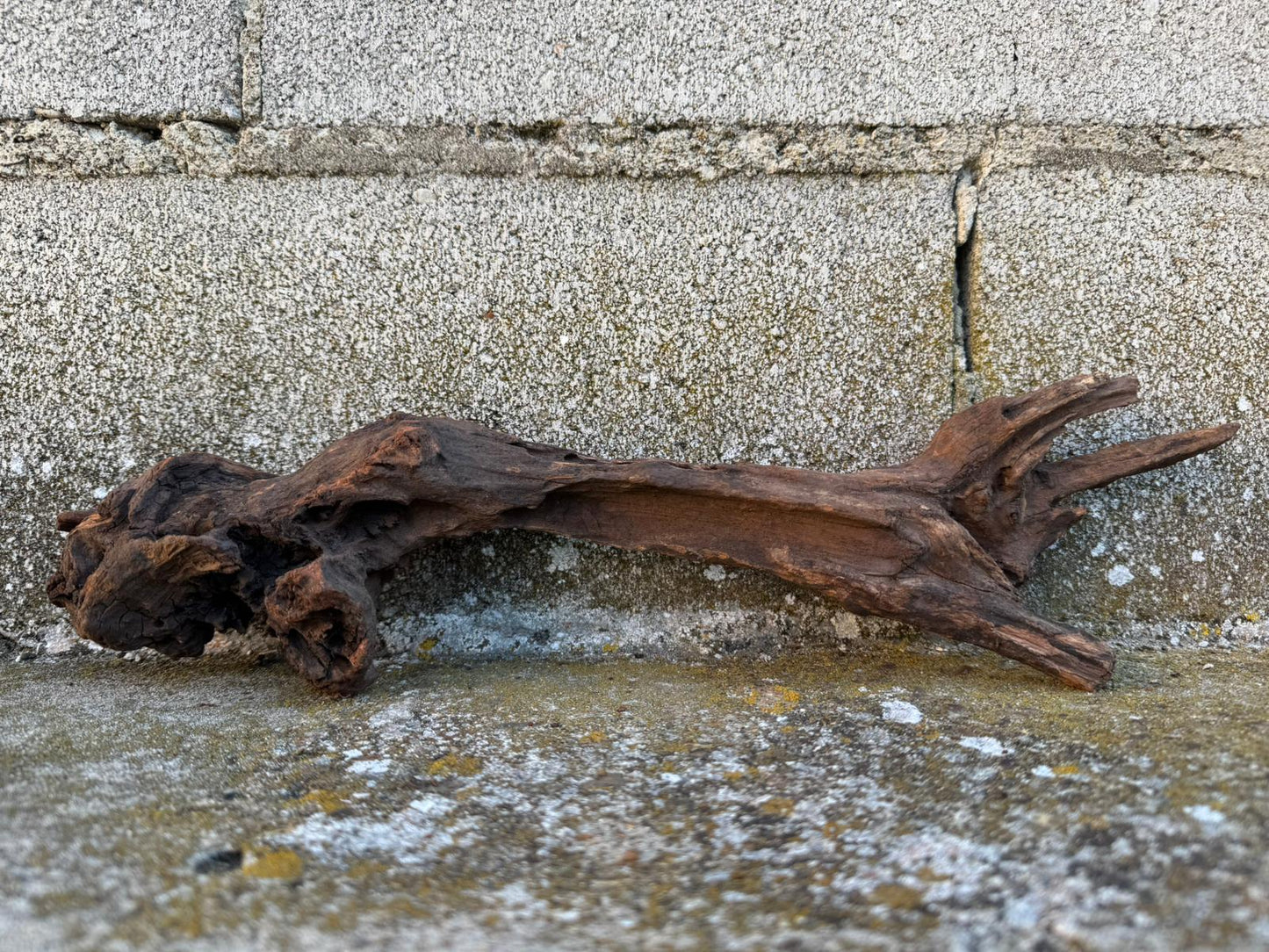 Drift Wood - 37*7*9 - cod.082 AQPET