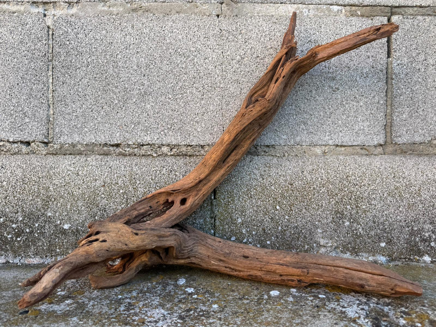 Drift Wood - 43*18*36 - cod.083 AQPET