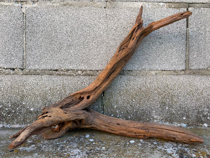 Drift Wood - 43*18*36 - cod.083 AQPET