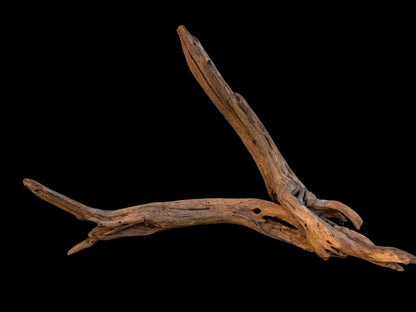 Drift Wood - 43*18*36 - cod.083 AQPET