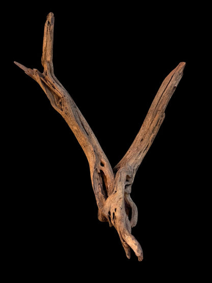 Drift Wood - 43*18*36 - cod.083 AQPET