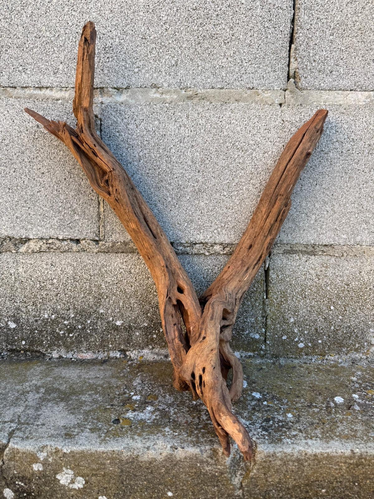 Drift Wood - 43*18*36 - cod.083 AQPET