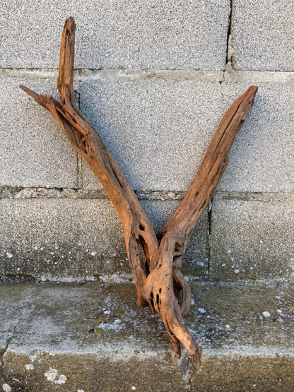 Drift Wood - 43*18*36 - cod.083 AQPET