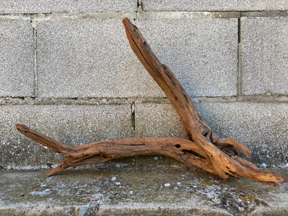 Drift Wood - 43*18*36 - cod.083 AQPET