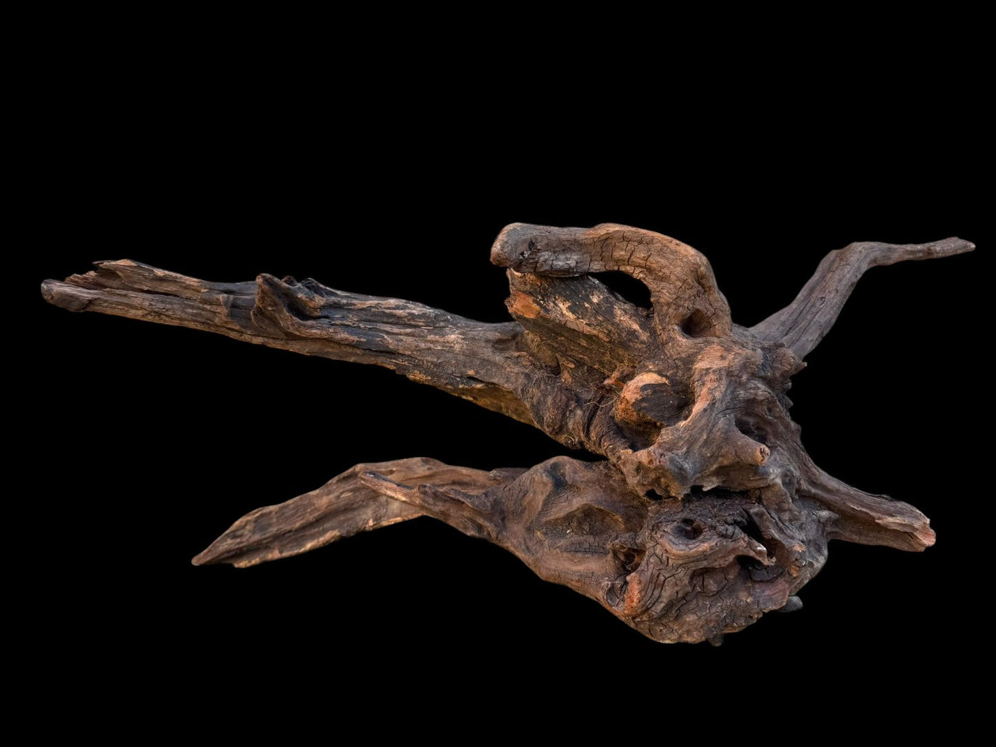 Drift Wood - 59*21*24- cod.087 AQPET