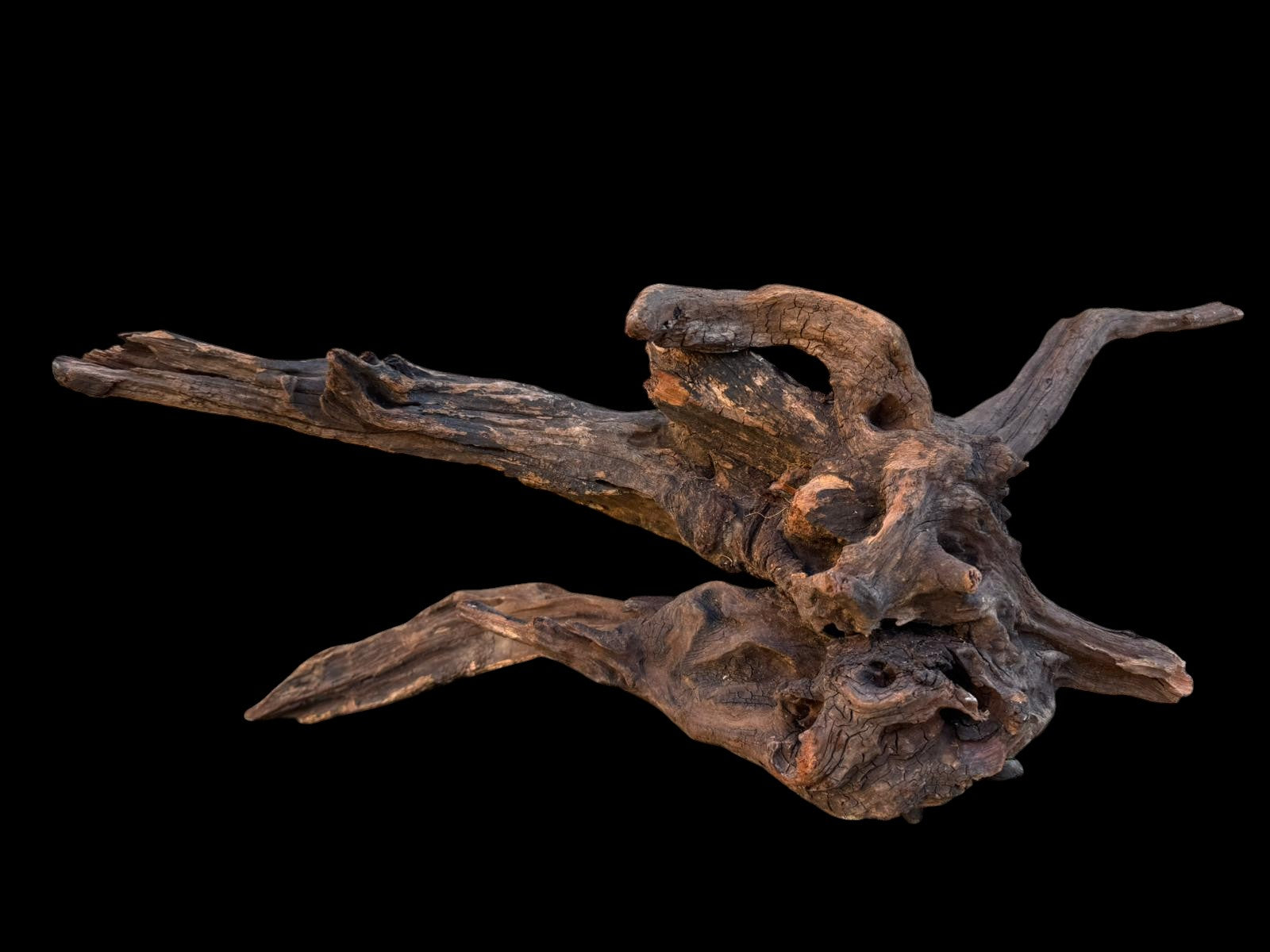 Drift Wood - 59*21*24- cod.087 AQPET