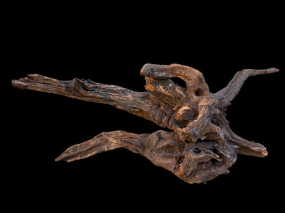 Drift Wood - 59*21*24- cod.087 AQPET