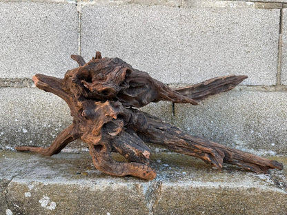 Drift Wood - 59*21*24- cod.087 AQPET