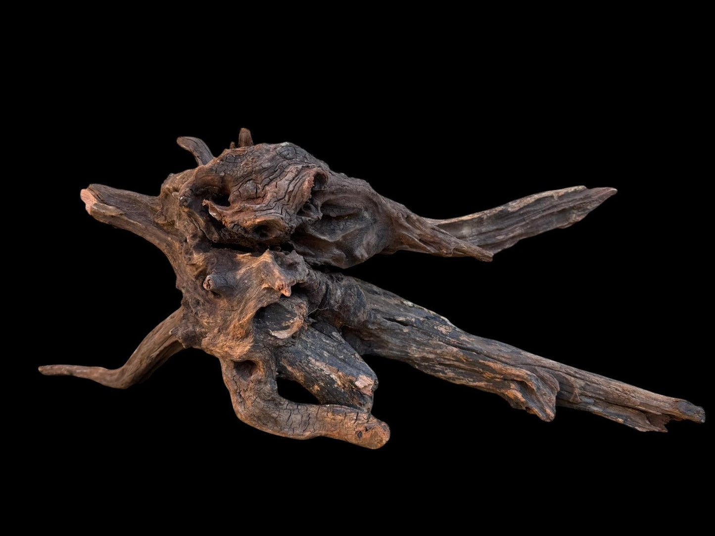 Drift Wood - 59*21*24- cod.087 AQPET