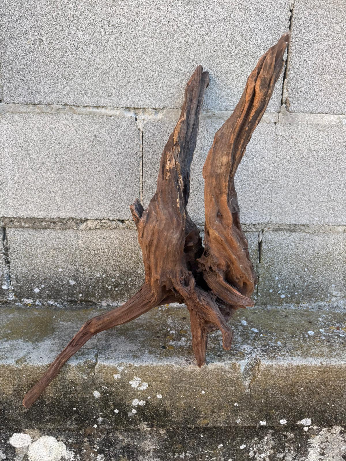 Drift Wood - 59*21*24- cod.087 AQPET