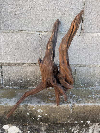 Drift Wood - 59*21*24- cod.087 AQPET