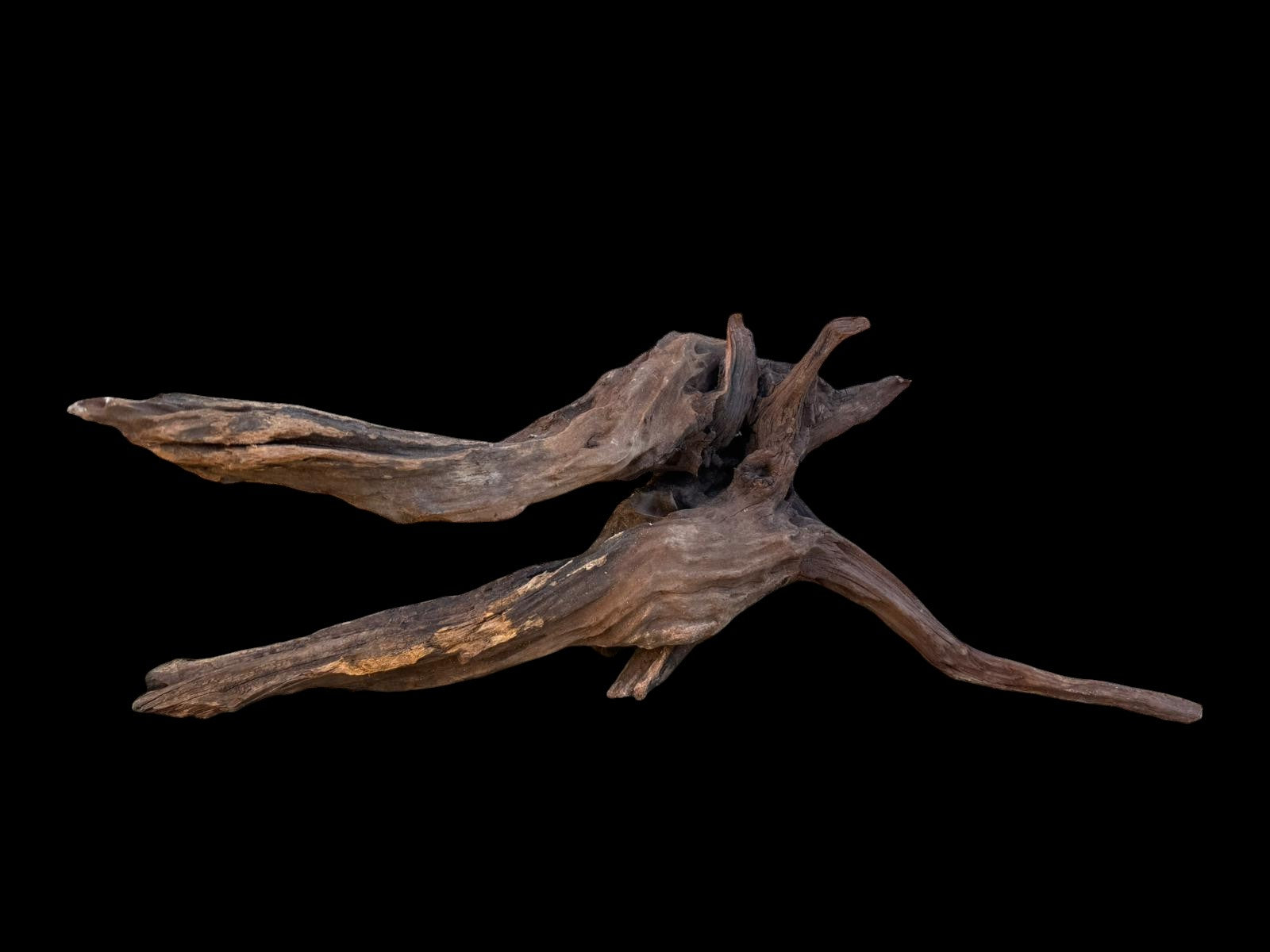 Drift Wood - 59*21*24- cod.087 AQPET