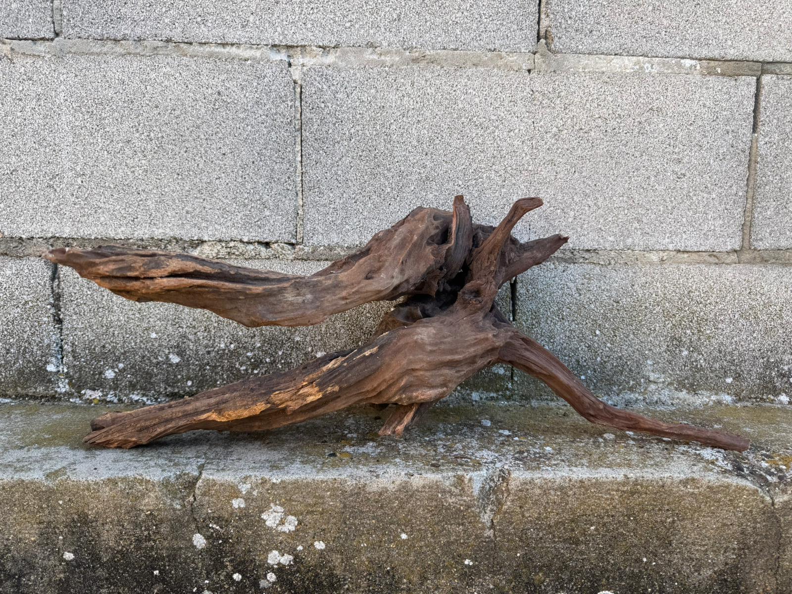 Drift Wood - 59*21*24- cod.087 AQPET