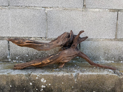 Drift Wood - 59*21*24- cod.087 AQPET
