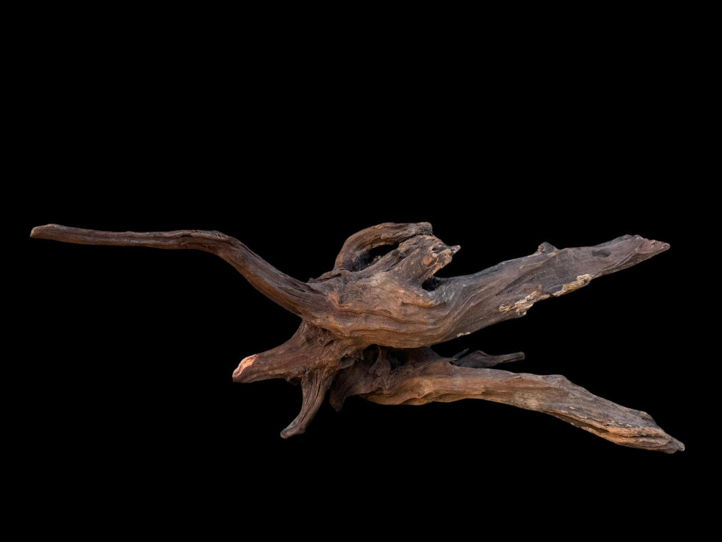 Drift Wood - 59*21*24- cod.087 AQPET
