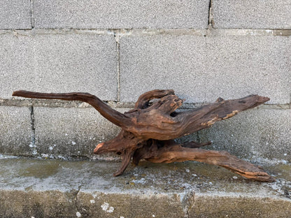 Drift Wood - 59*21*24- cod.087 AQPET