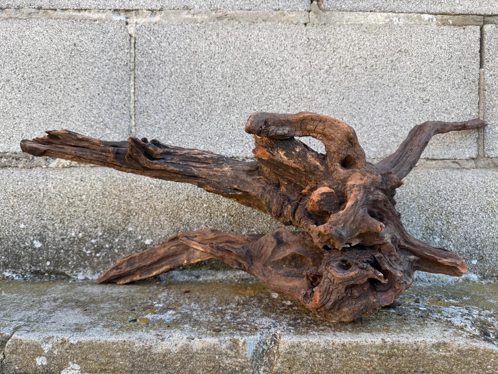 Drift Wood - 59*21*24- cod.087 AQPET