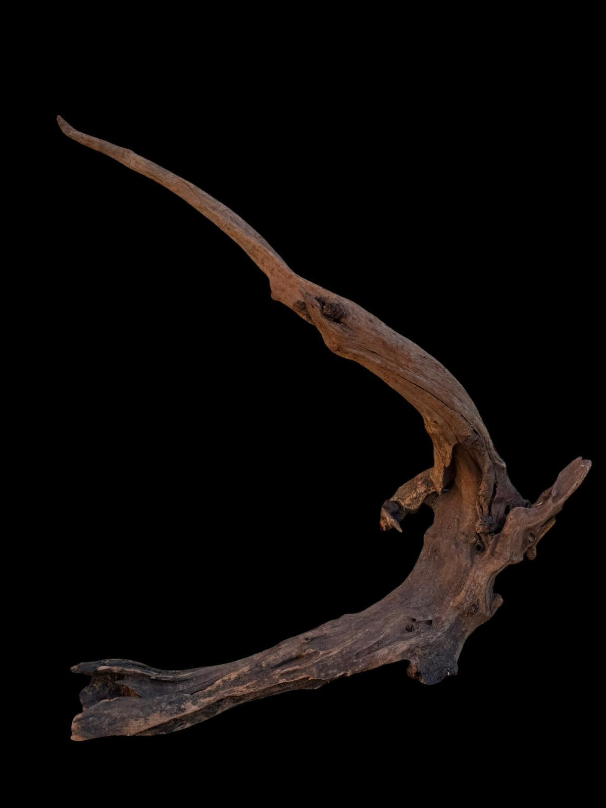 Drift Wood - 62*16*42- cod.088 AQPET