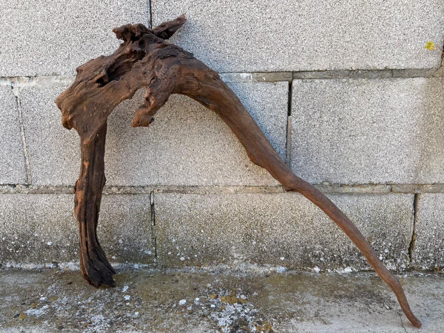 Drift Wood - 62*16*42- cod.088 AQPET