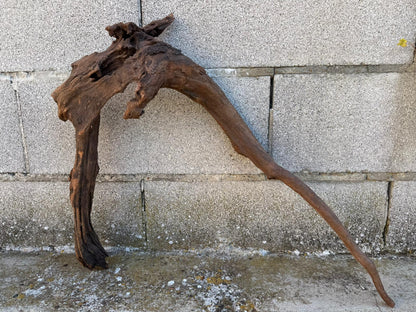 Drift Wood - 62*16*42- cod.088 AQPET