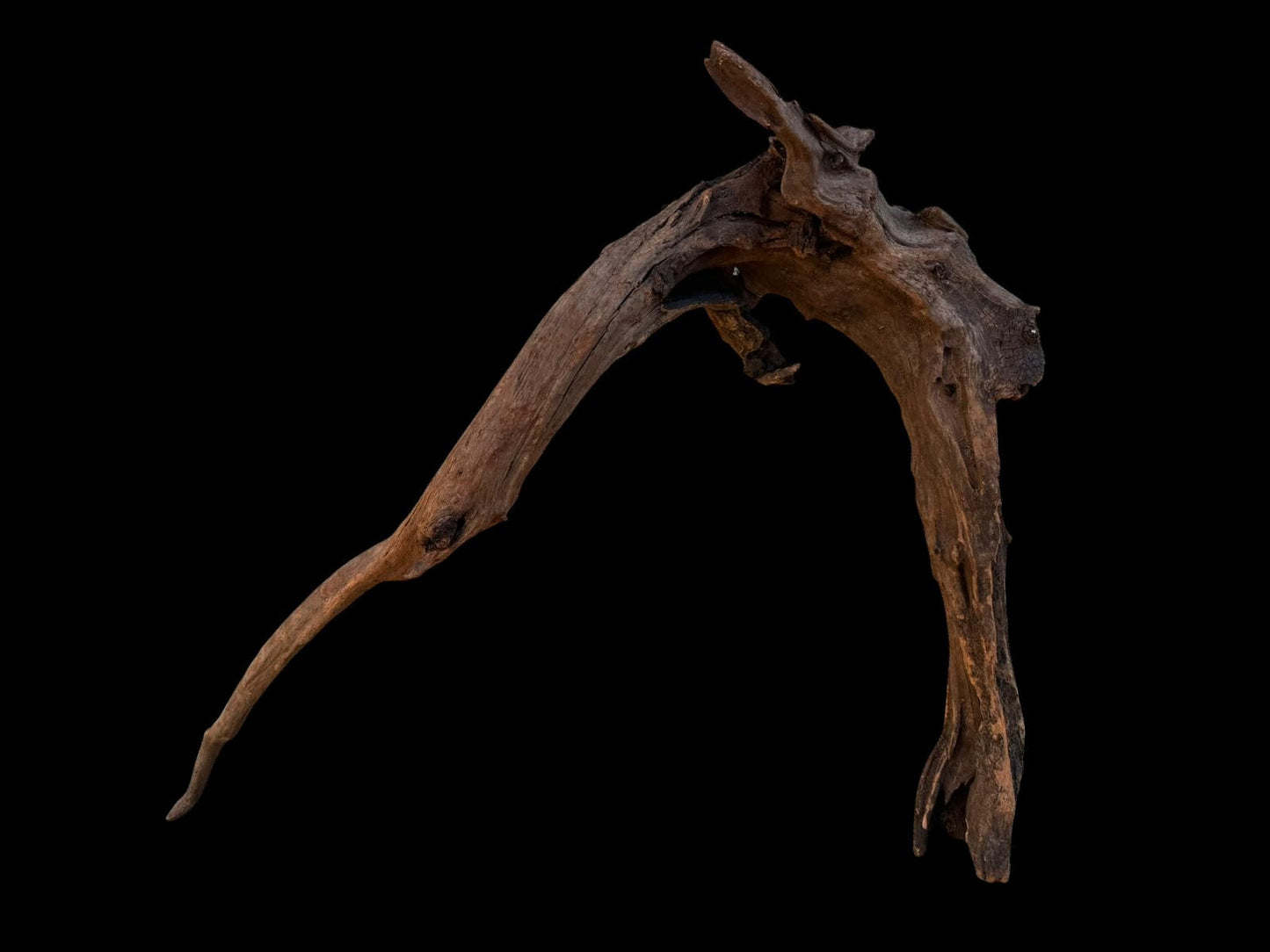 Drift Wood - 62*16*42- cod.088 AQPET