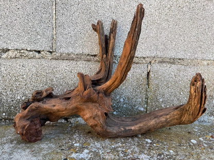 Drift Wood - 34*13*30- cod.089 AQPET