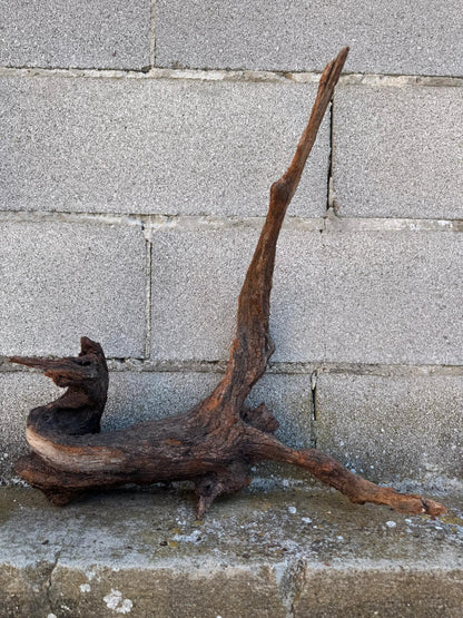Drift Wood - 46*23*49- cod.090 AQPET