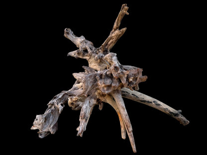 Drift Wood - 47*20*37- cod.091 AQPET
