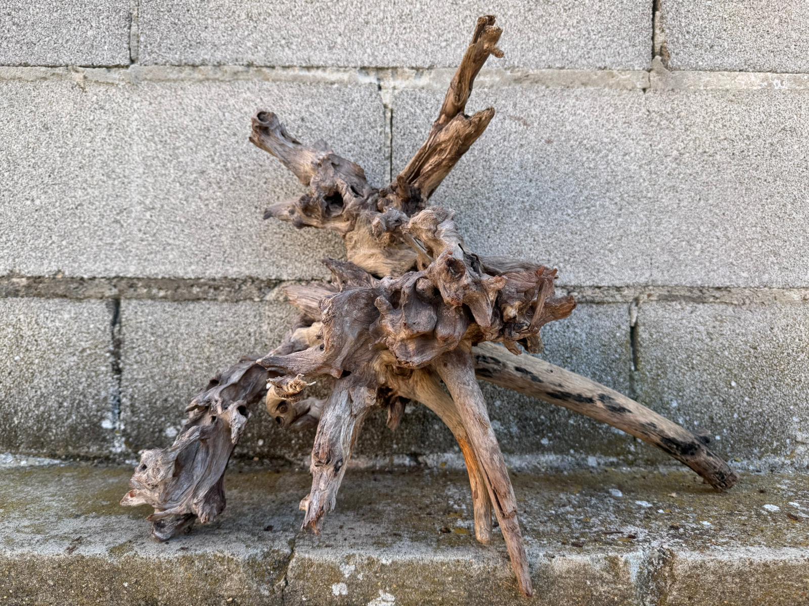 Drift Wood - 47*20*37- cod.091 AQPET