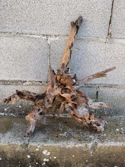 Drift Wood - 47*20*37- cod.091 AQPET