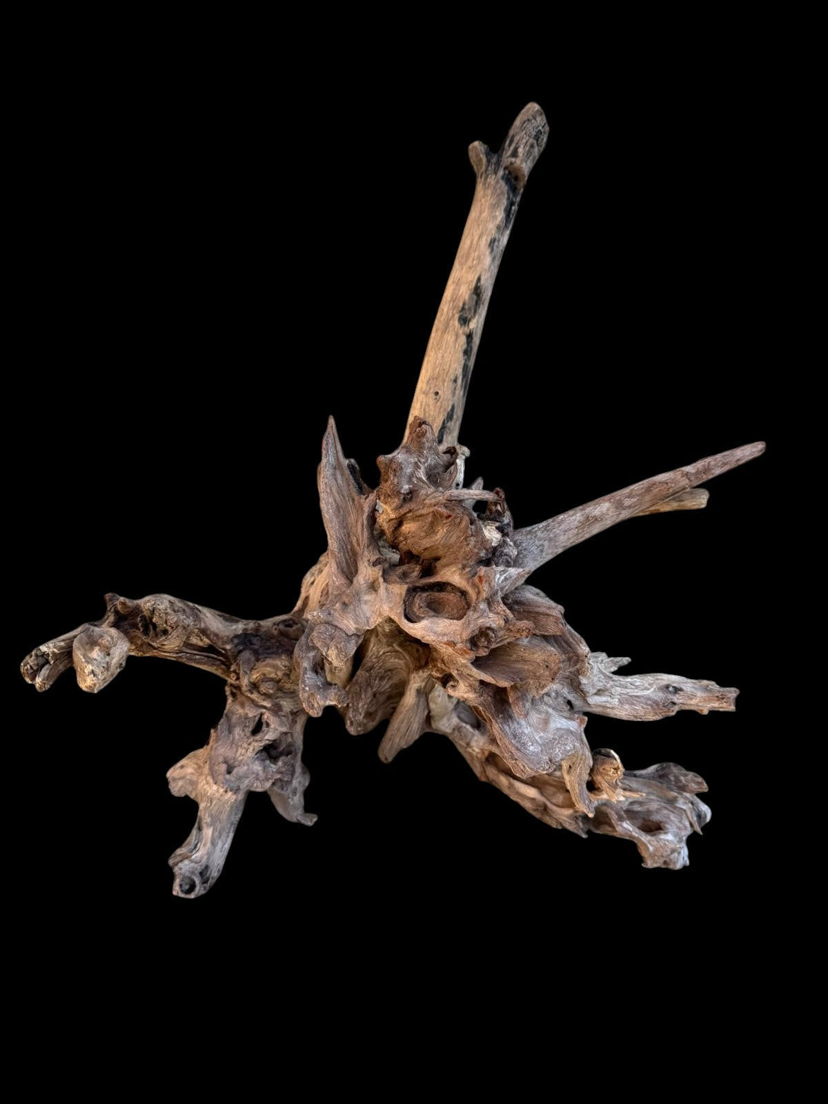 Drift Wood - 47*20*37- cod.091 AQPET