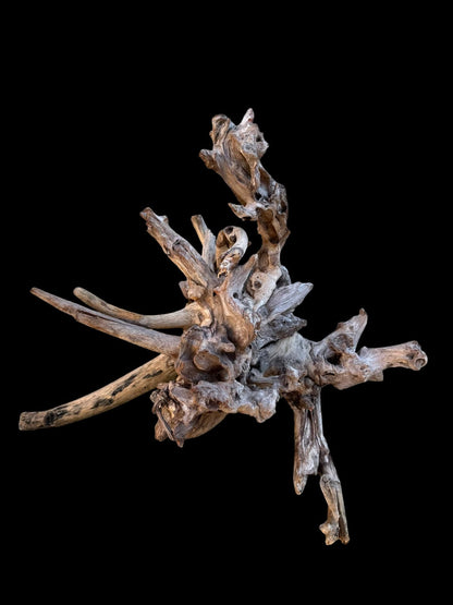 Drift Wood - 47*20*37- cod.091 AQPET