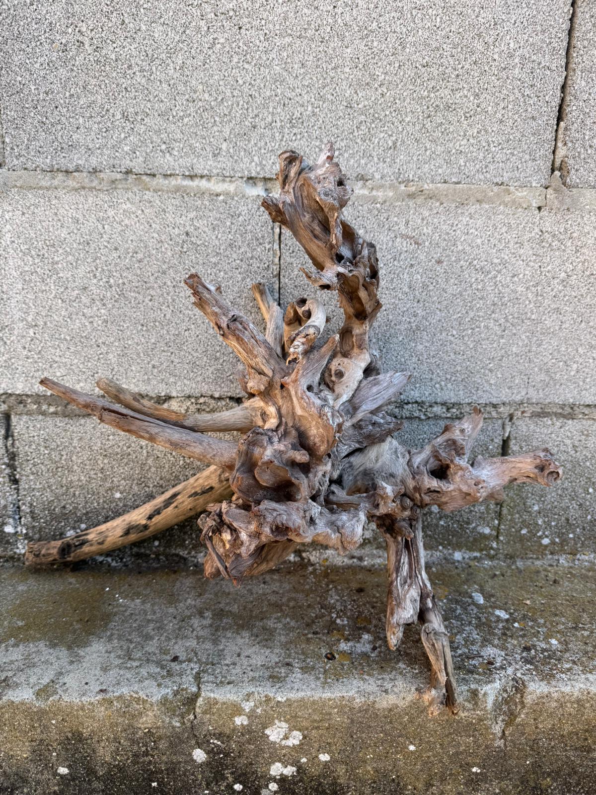 Drift Wood - 47*20*37- cod.091 AQPET