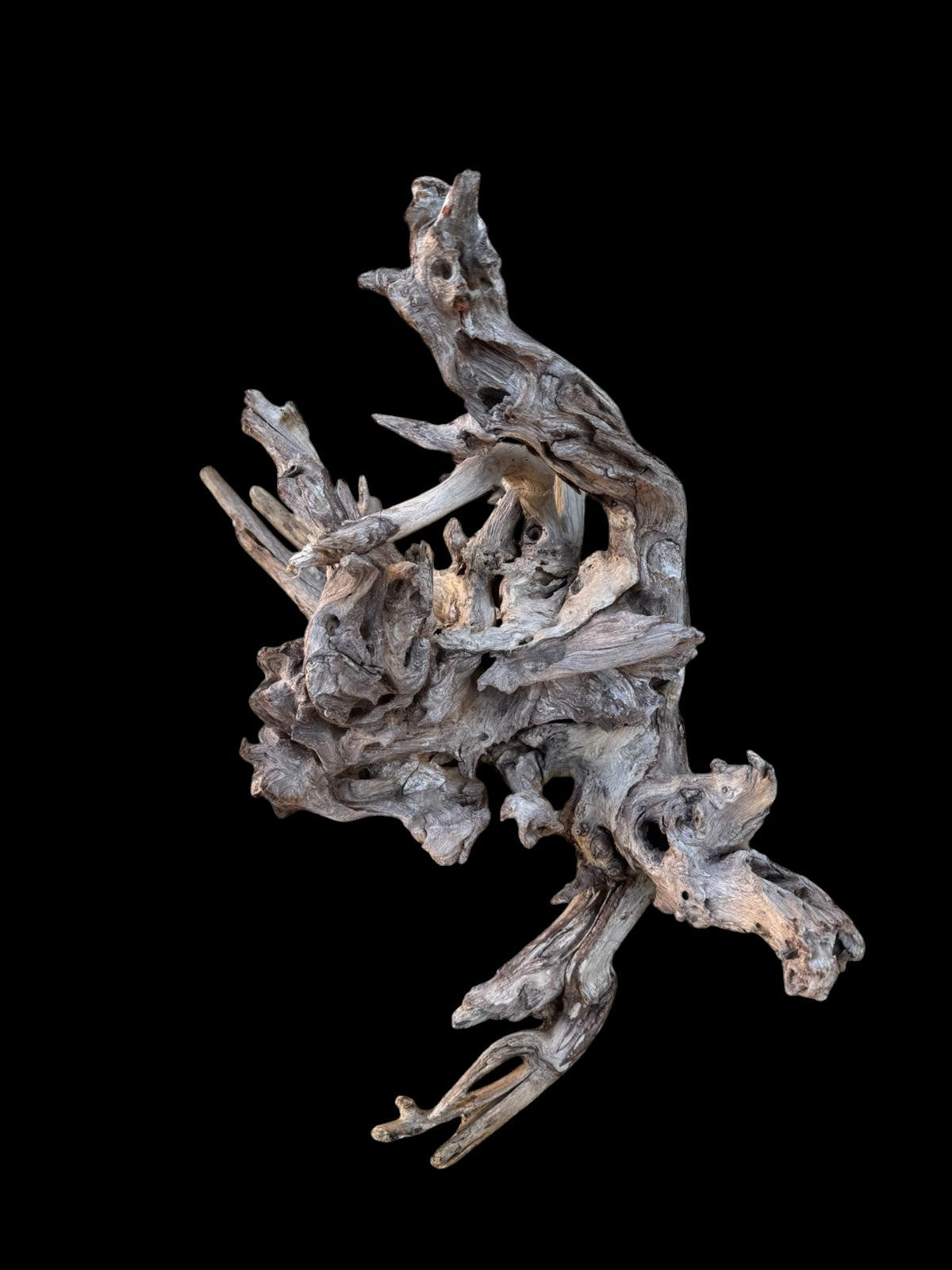 Drift Wood - 47*20*37- cod.091 AQPET