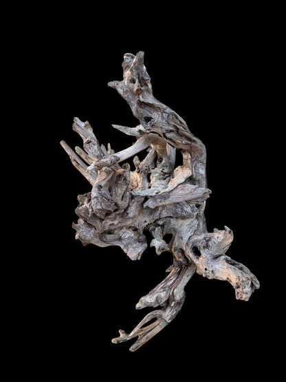 Drift Wood - 47*20*37- cod.091 AQPET