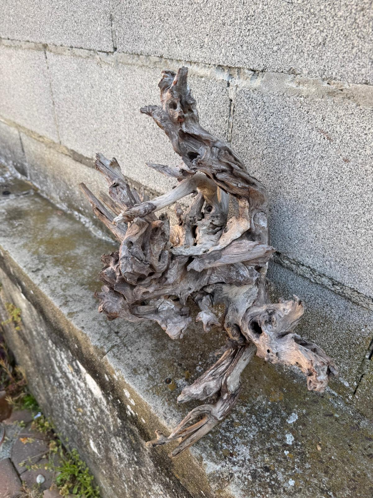 Drift Wood - 47*20*37- cod.091 AQPET