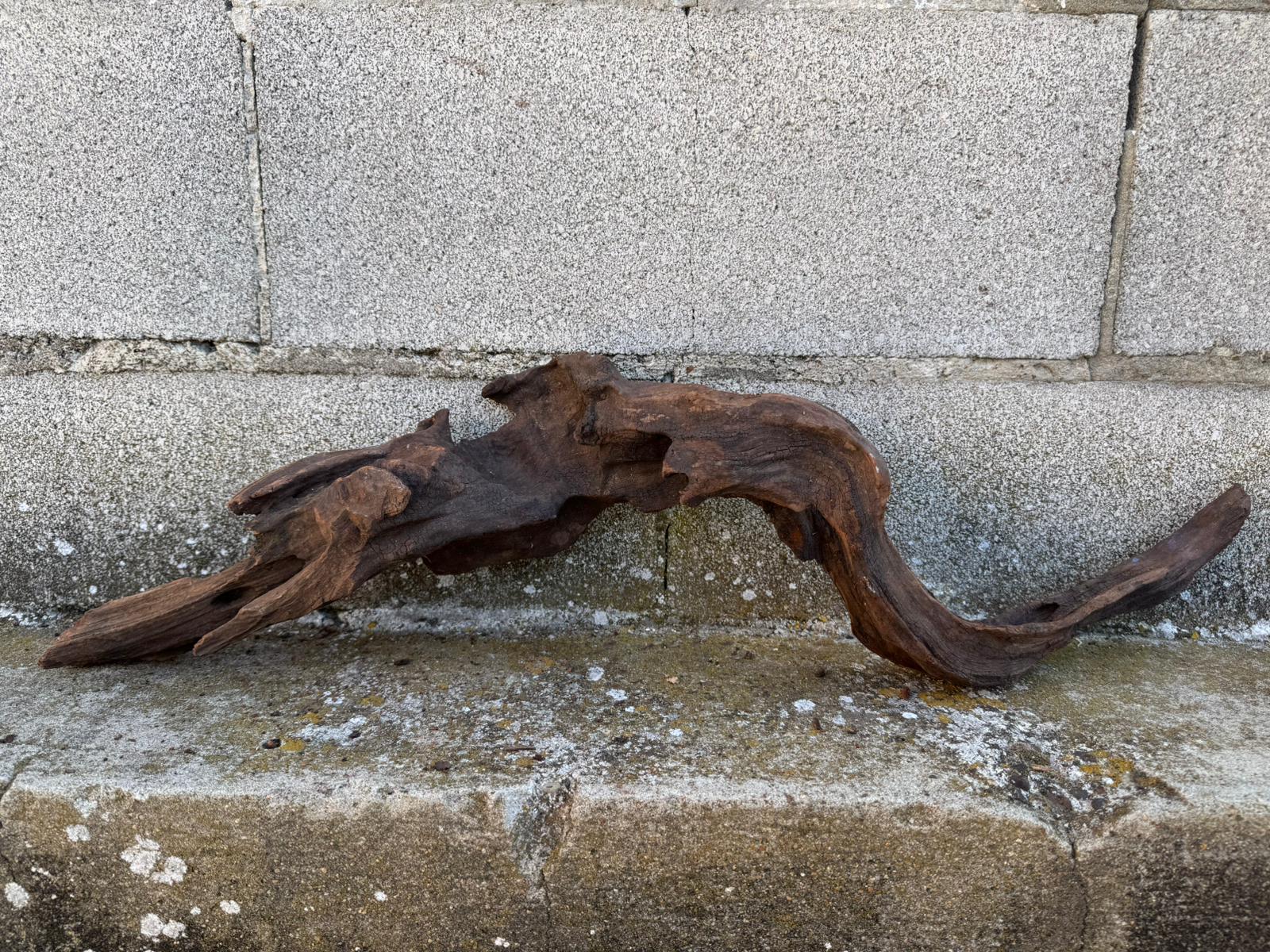 Drift Wood - 70*12*19- cod.092 AQPET
