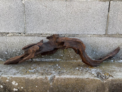 Drift Wood - 70*12*19- cod.092 AQPET