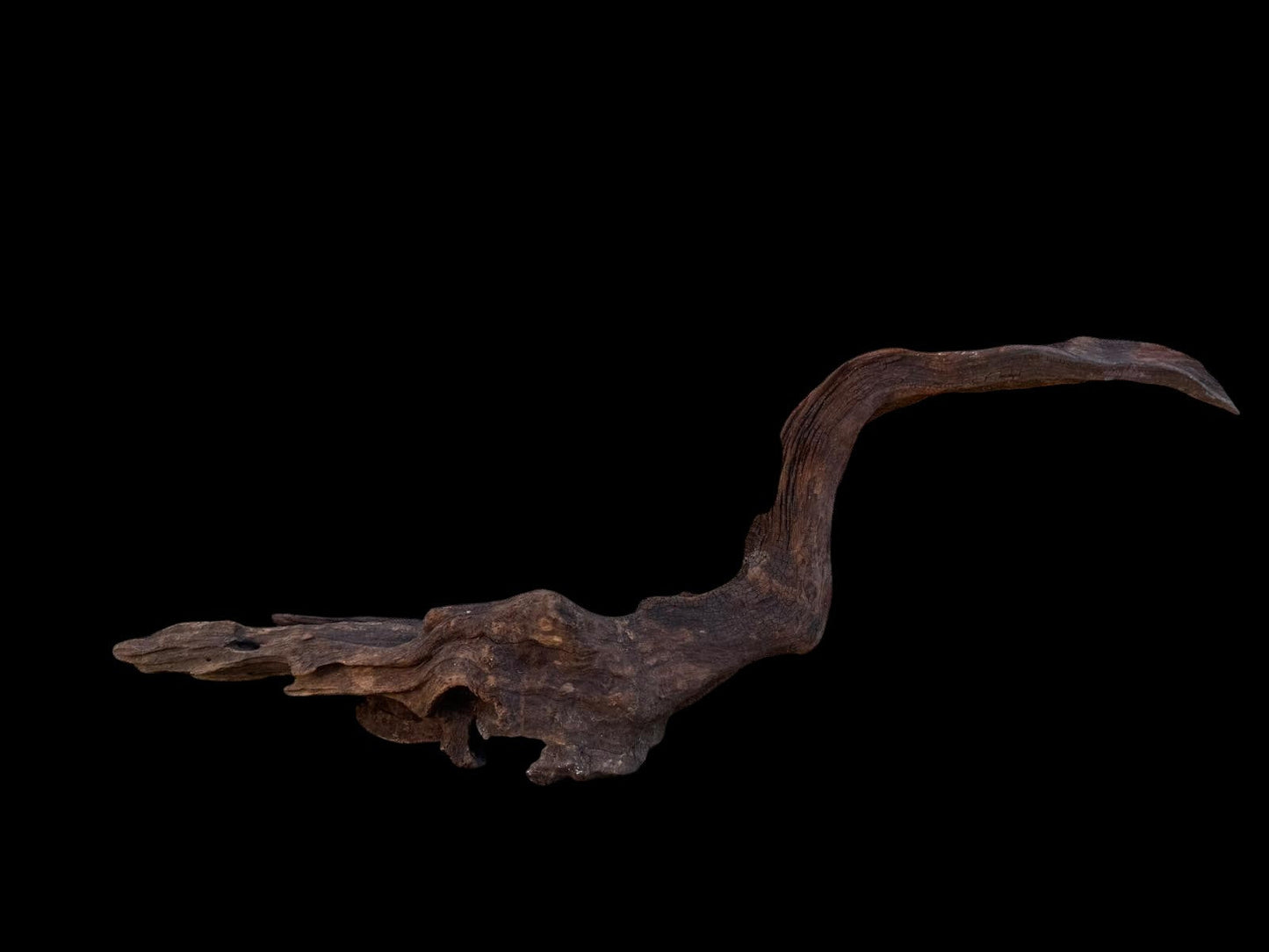Drift Wood - 70*12*19- cod.092 AQPET