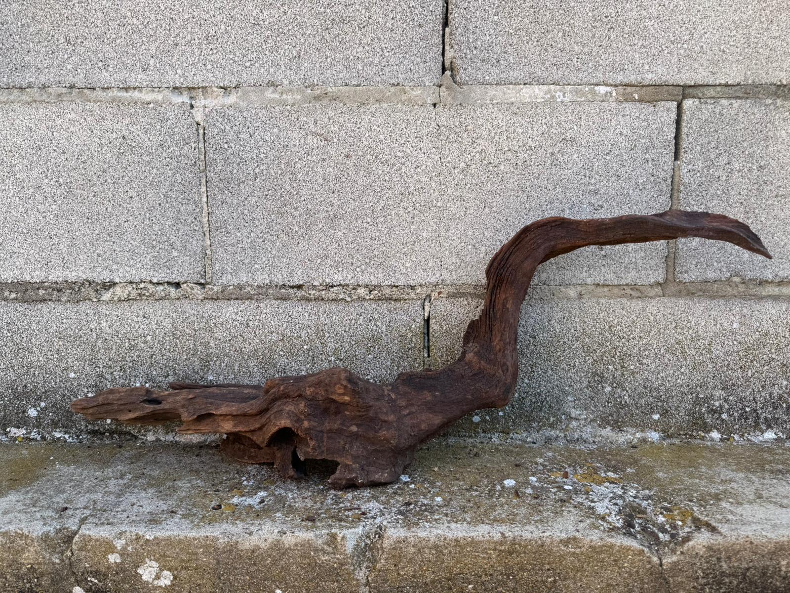 Drift Wood - 70*12*19- cod.092 AQPET