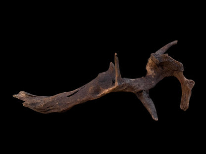 Drift Wood - 66*14*26- cod.093 AQPET