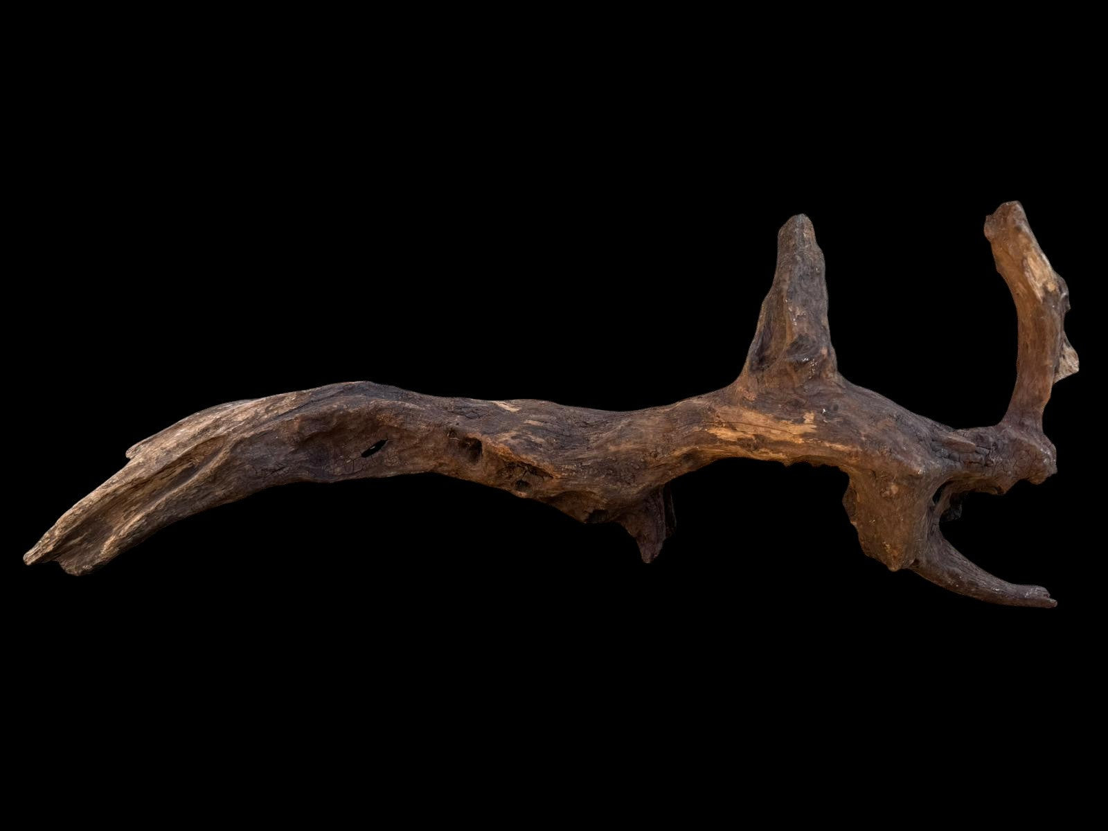 Drift Wood - 66*14*26- cod.093 AQPET