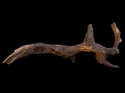 Drift Wood - 66*14*26- cod.093 AQPET