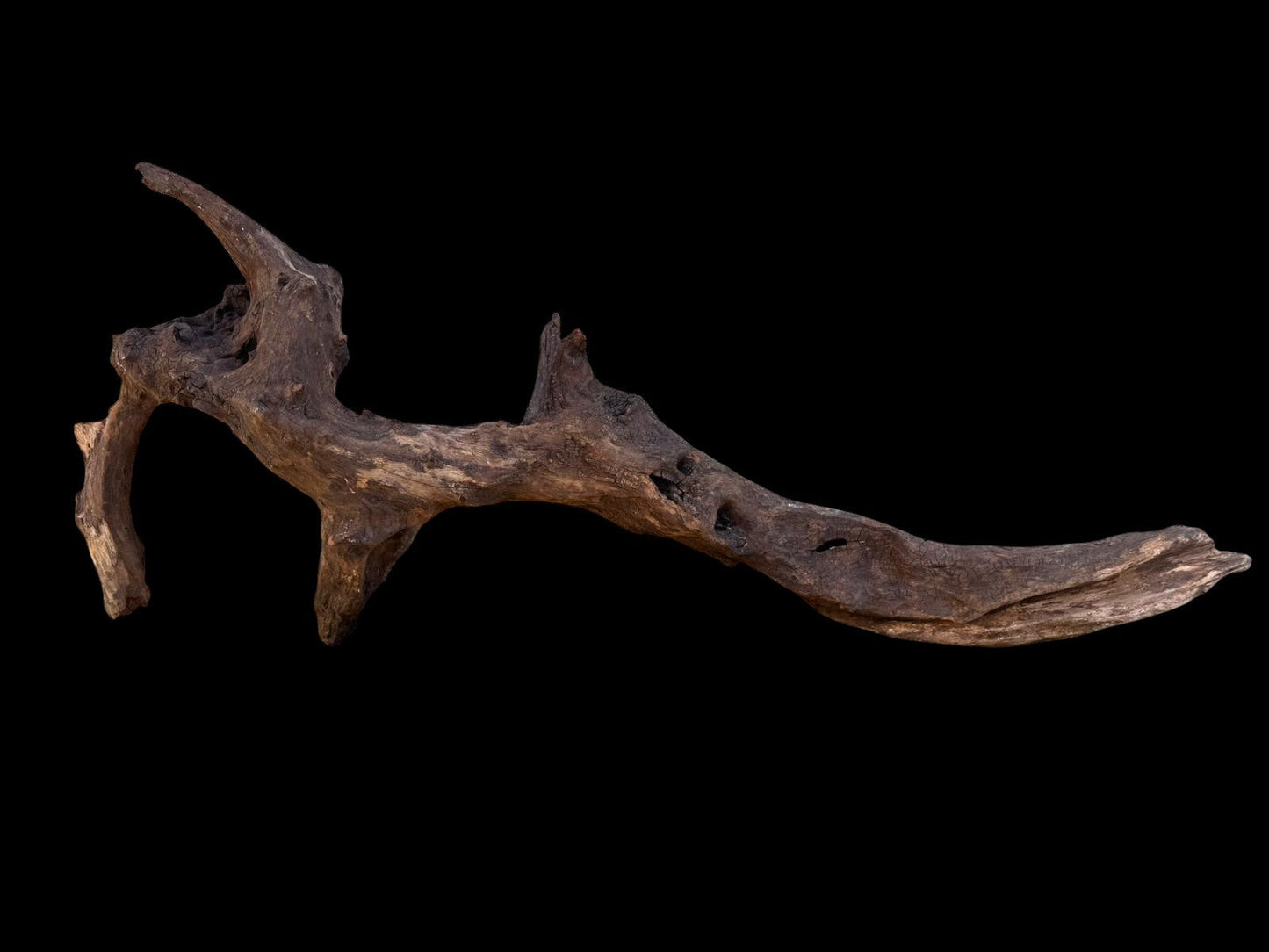 Drift Wood - 66*14*26- cod.093 AQPET