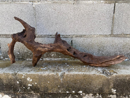 Drift Wood - 66*14*26- cod.093 AQPET