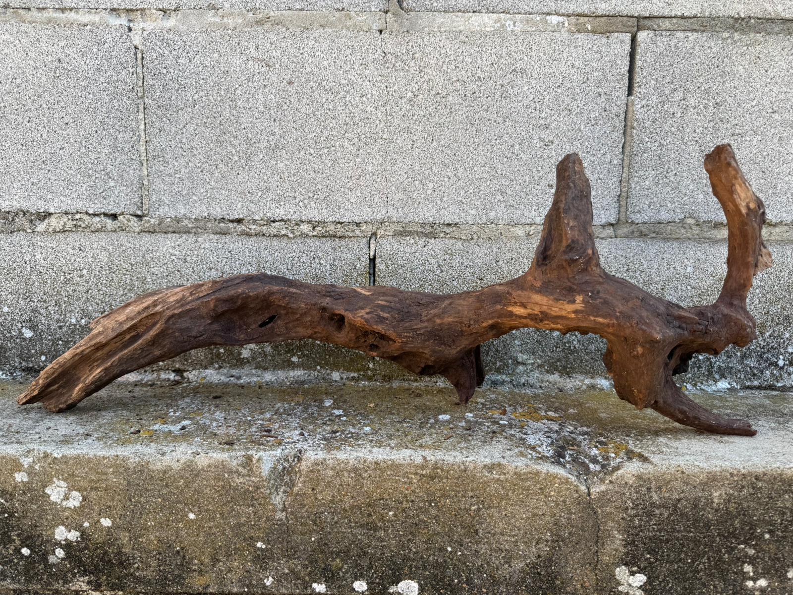 Drift Wood - 66*14*26- cod.093 AQPET