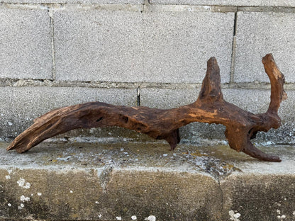 Drift Wood - 66*14*26- cod.093 AQPET