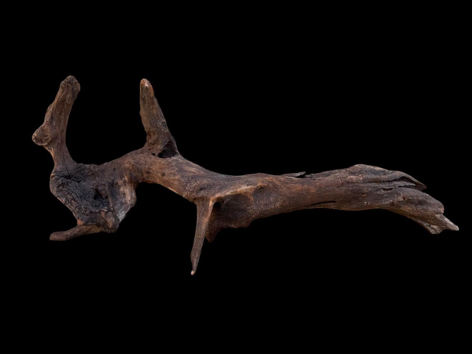 Drift Wood - 66*14*26- cod.093 AQPET