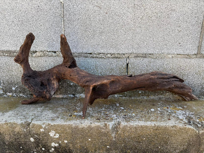 Drift Wood - 66*14*26- cod.093 AQPET
