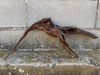 Drift Wood - 55*14*34- cod.094 AQPET
